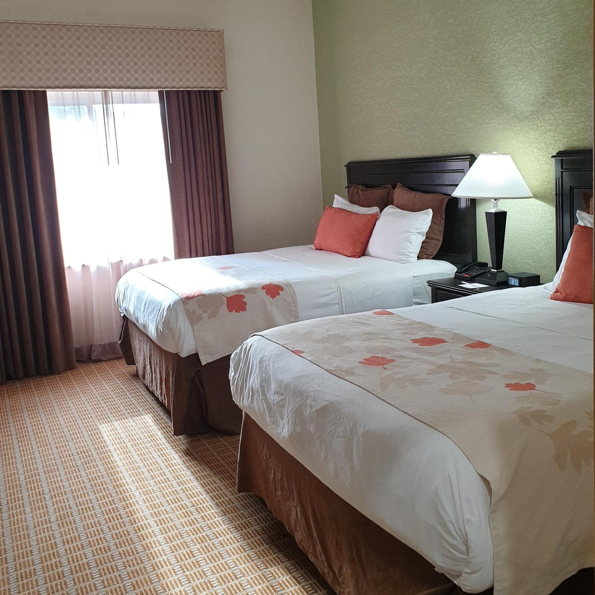 Queen One-Bedroom Suite Walk-In Shower - Mobility Accessible/Non-Smoking,983346670:JPEG